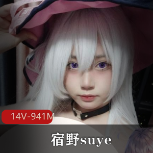 定制露脸宿野suye可爱短视频合集14V941M，角色扮演福利自拍