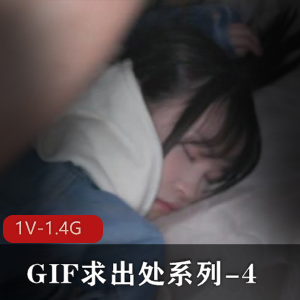 GIF岛国求出处系列4[1V1.4G]，两人互动，车牌女主，观看体验极佳