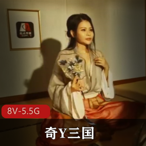 起点传媒创意三国合集《奇Y三国》系列8V5.55G，经典新演绎