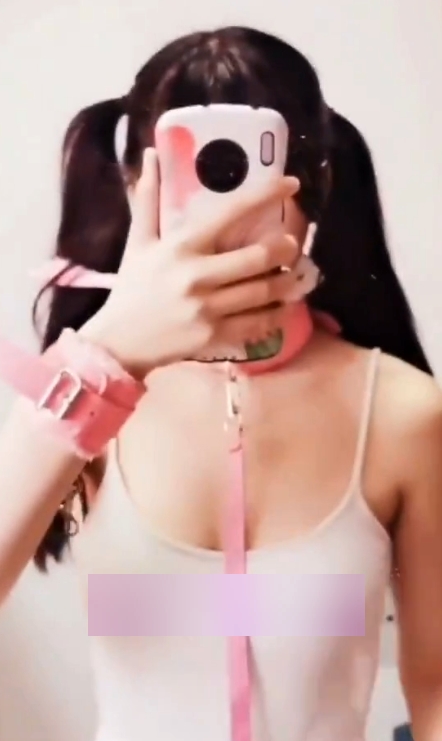 弹力擦福利姬精选1655V抖音风22G珍藏版