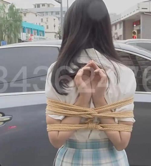 194G长颜草工作室另类玩法合集真带感