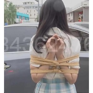 194G长颜草工作室另类玩法合集真带感