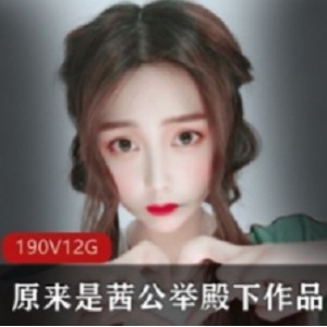 微博红人茜公举殿下劲爆舞蹈合集100部50G超清